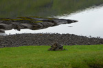 Leitisvatn/Sørvágsvatn 11.08.2013