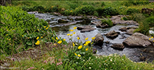 Sandavágur 06.07.2020