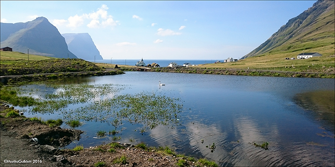 Viðareiði 16.08.2016